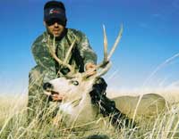 Guided Wyoming Deer Hunts