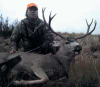 Guided Mule Deer Hunting