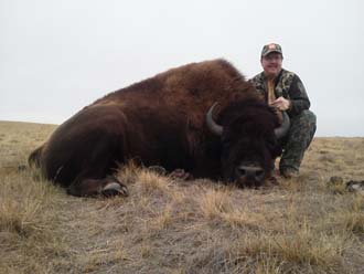 Wyoming Trophy Buffalo Hunts