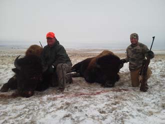 Wyoming Trophy Buffalo Hunts