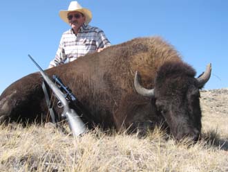 Wyoming Trophy Buffalo Hunts