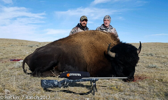 Wyoming Guided Trophy Bison Hunts