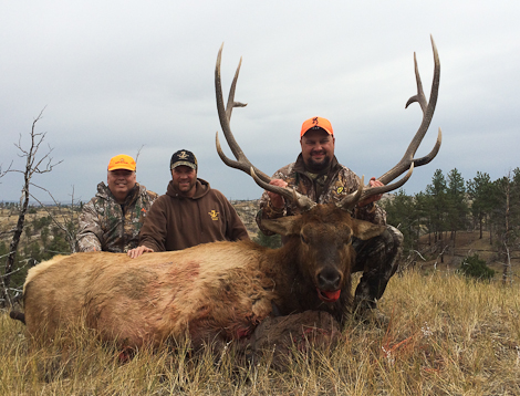 Wyoming Trophy Elk