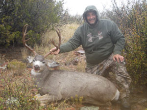 Guided Mule Deer Hunting In Wyoming