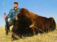 Wyoming Buffalo Hunt