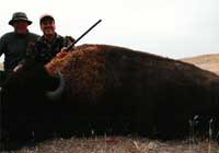 Buffalo Hunt Wyoming