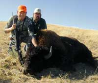 Wyoming Buffalo Hunting