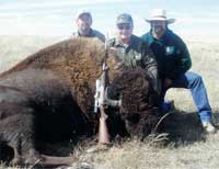 Bison Hunting