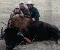 Bison Hunts