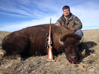 Trophy Buffalo Hunt