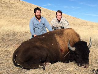 Trophy Buffalo Hunt