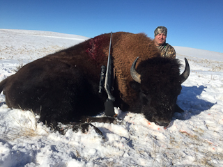 Trophy Buffalo Hunt