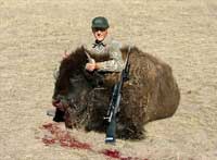 Trophy Buffalo Hunt