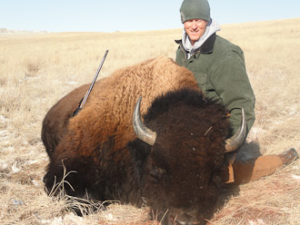 Free Range Bison Hunt