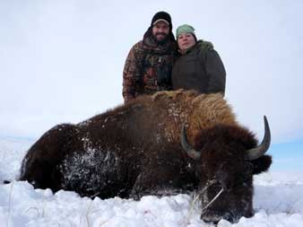 Guided Buffalo Hunting