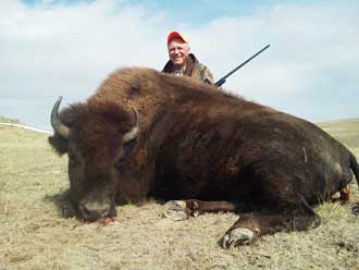 Buffalo Hunts