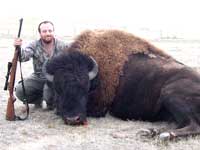 Wyoming Trophy Bison Hunts