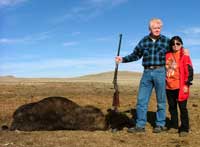 Cow Buffalo Hunt