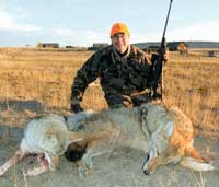 Coyote Hunt