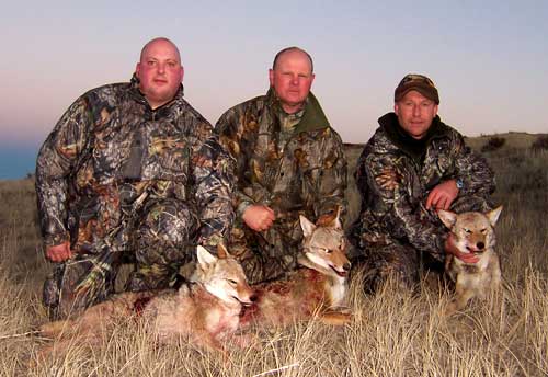 Guided Wyoming Coyote Hunts