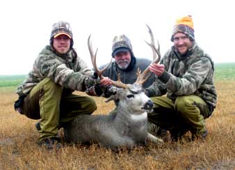 Wyoming Muleys