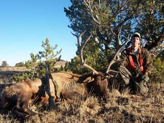 Guided Wyoming Elk Hunts