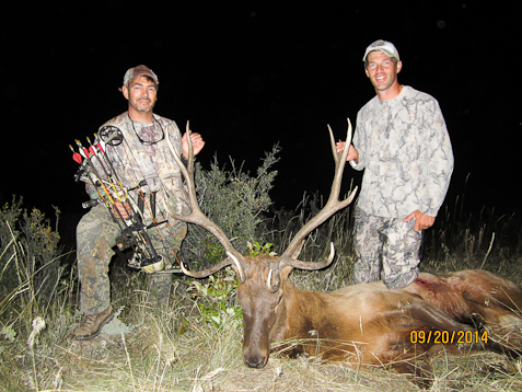 Guided Wyoming Trophy Bull Elk Hunts