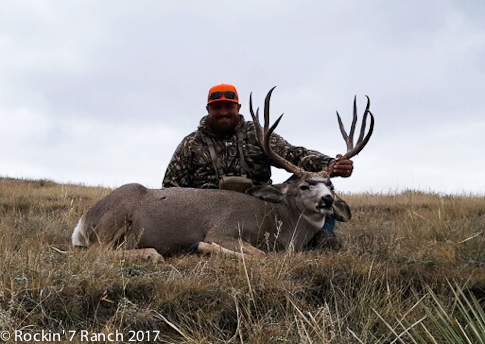 Wyoming Guided Trophy Mule Deer Hunts