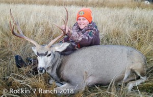 Wyoming Mule Deer Hunt