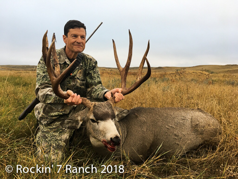 Wyoming Mule Deer