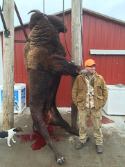 Wyoming Buffalo Hunt