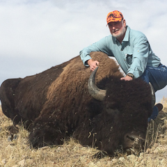 Open Range Bison Hunt