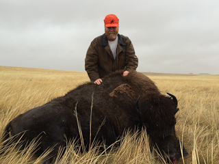 Buffalo Hunting