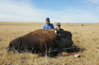 Trophy Buffalo Hunts in Wyoming