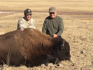 Buffalo Hunting