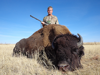 Trophy Bison Hunt