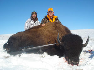 Open Range Buffalo Hunting