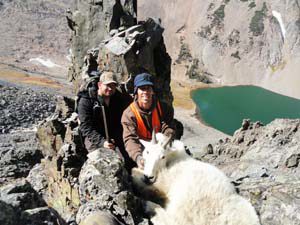 Wyoming Trophy Mountain Goat Hunt