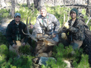 Guided Wyoming Elk Hunt