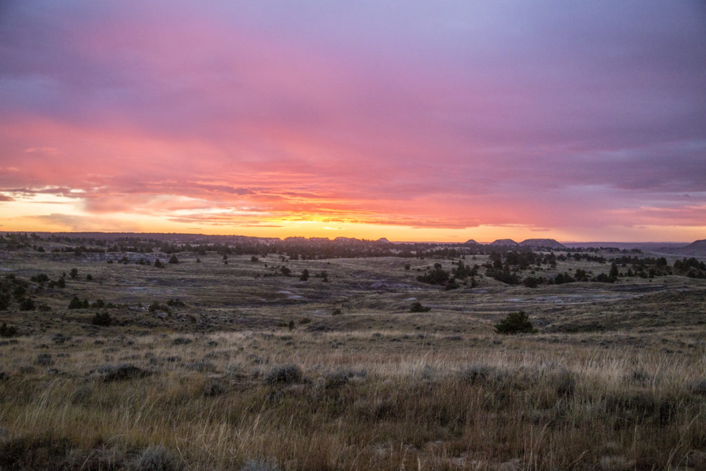 Wyoming Audubon Certified Ranch