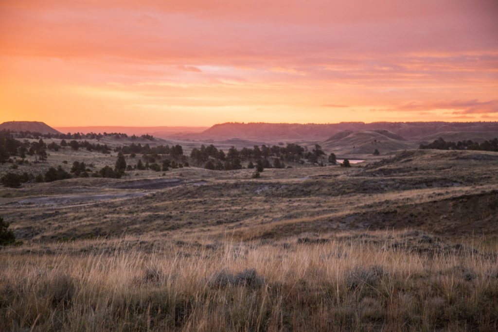 Wyoming Cattle Ranch