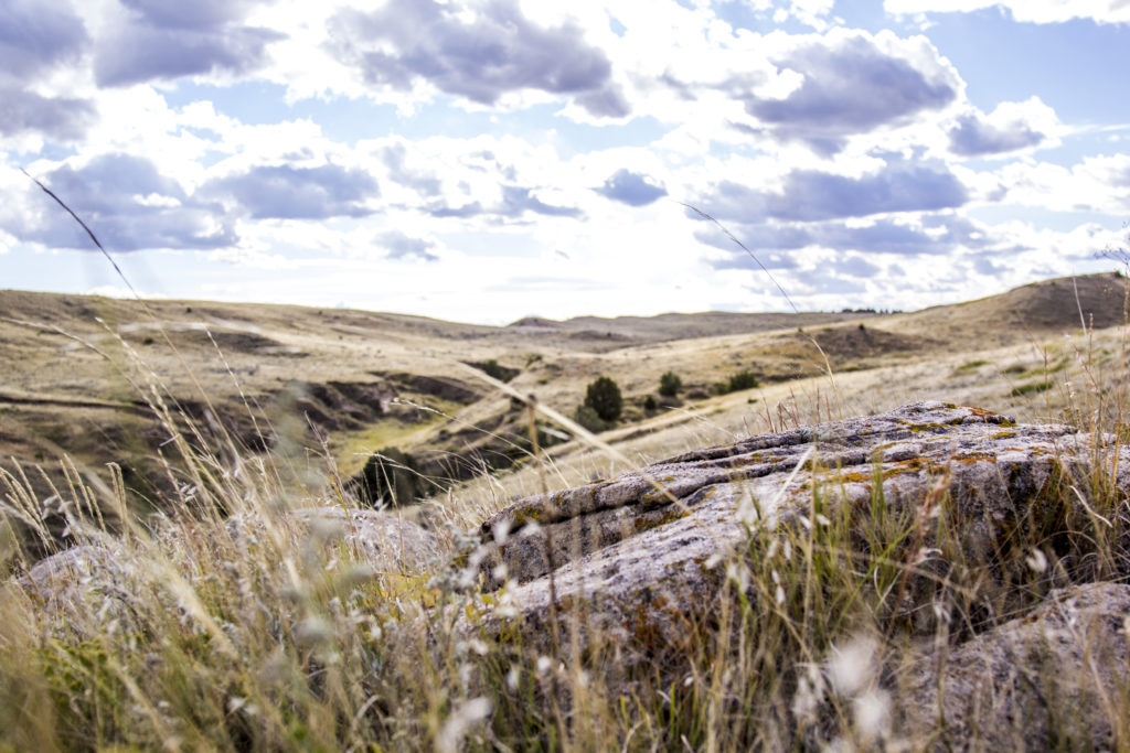 Wyoming Cattle Ranch