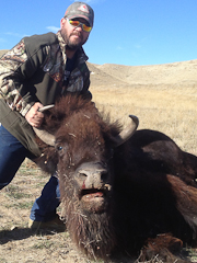 Wyoming Buffalo Hunt