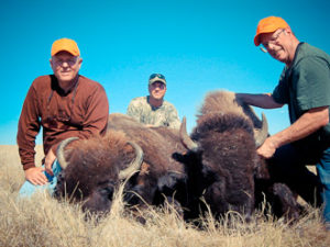 Wyoming Buffalo Hunting