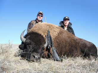 Trophy Buffalo Hunting