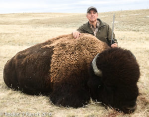 Wyoming Bison Hunt