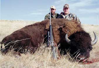 Guided Buffalo Hunting