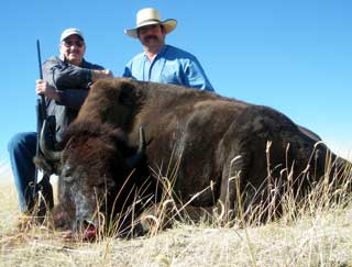 Buffalo Cow Meat Hunt