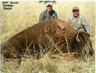 Guided Bison Hunt