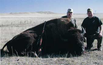 Open Range Buffalo Hunt